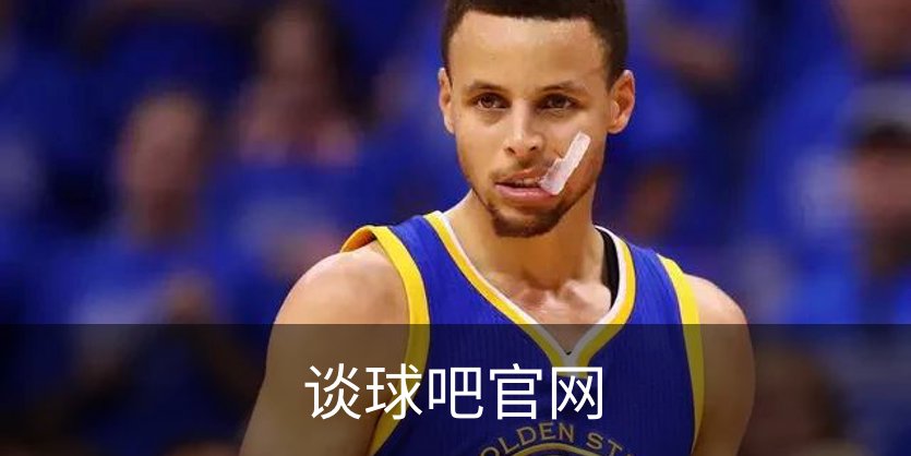 谈球吧官网概况